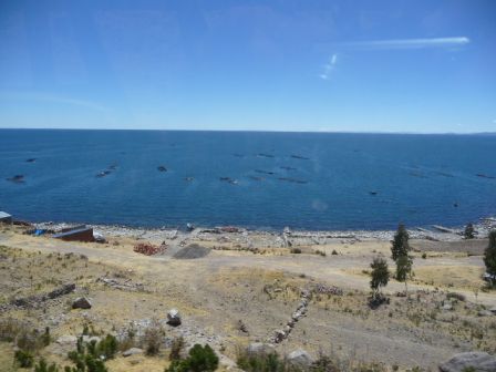 Lac Titicaca au Perou.JPG